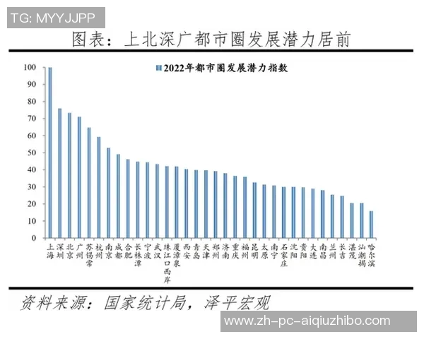 岐埠与德岛的对决探讨两地文化与经济发展的异同与未来潜力